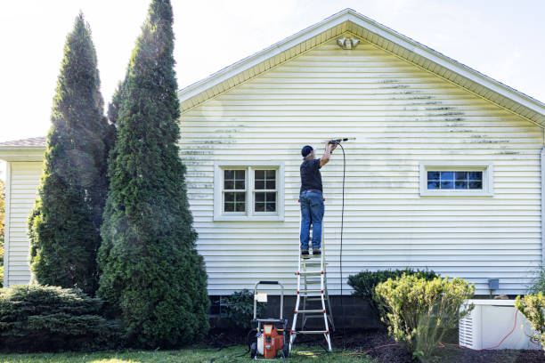 Best Graffiti Removal  in Firthcliffe, NY